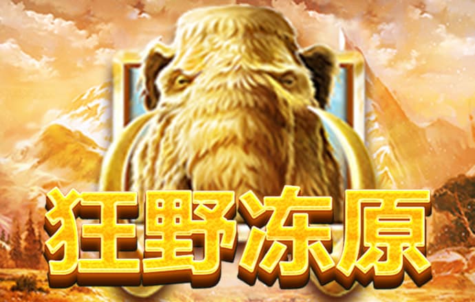 加拿大28